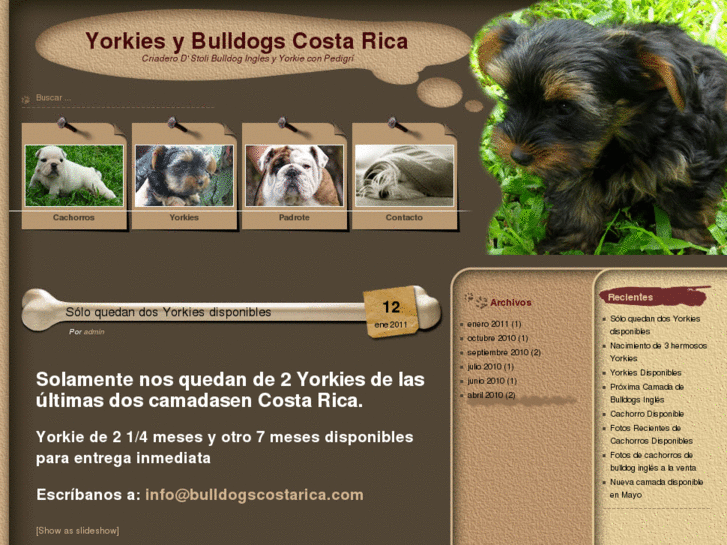 www.bulldogscostarica.com