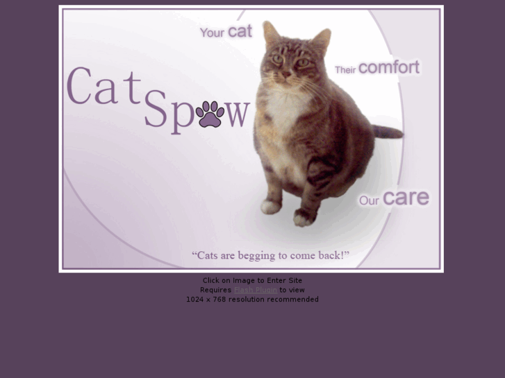 www.cat-spaw.com