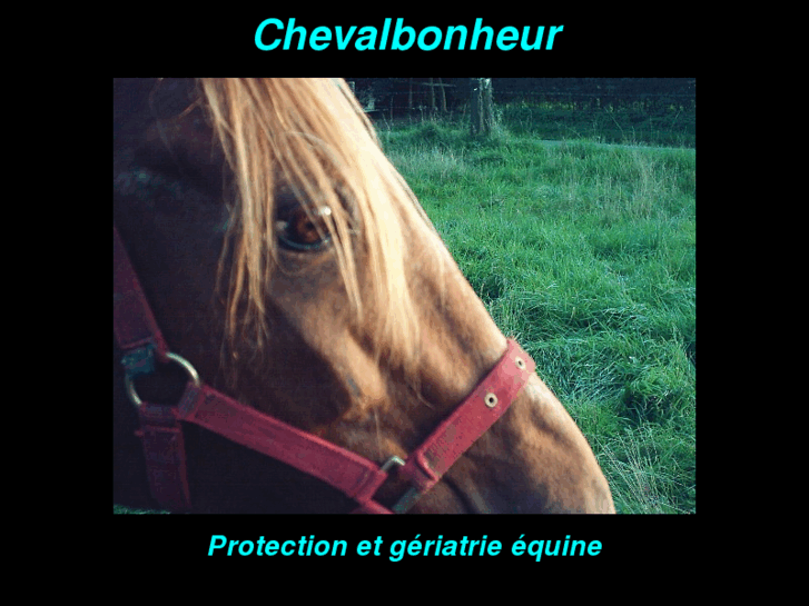 www.chevalbonheur.com