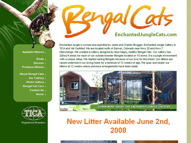 www.enchantedjunglecats.com