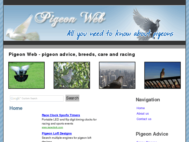 www.pigeonweb.net