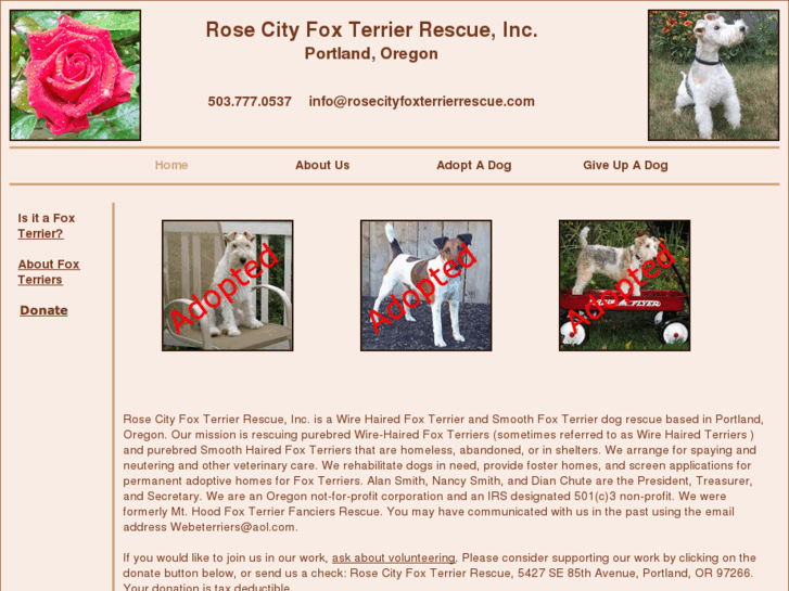 www.rosecityfoxterrierrescue.com