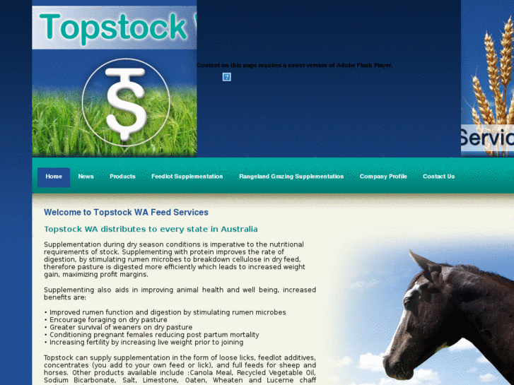 www.topstock.com.au