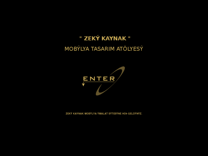 www.zekikaynak.com