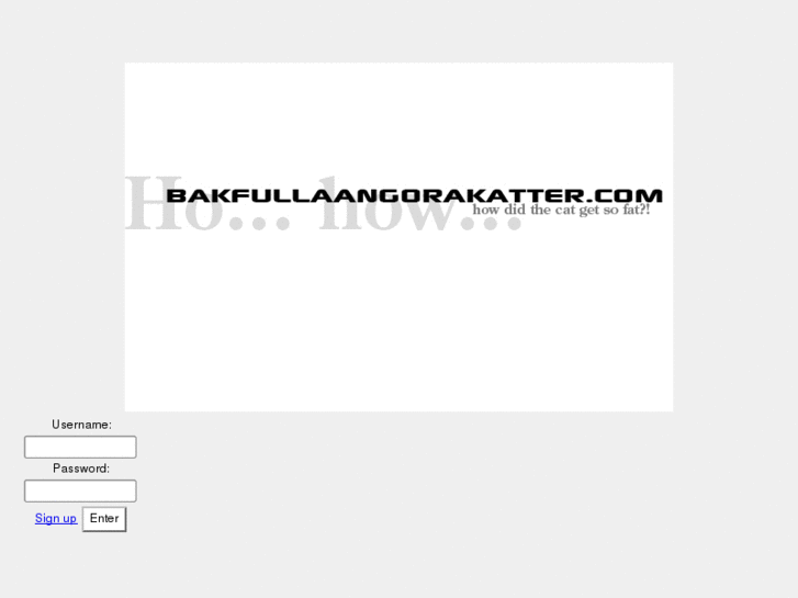 www.bakfullaangorakatter.com