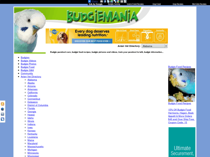 www.budgiemania.com