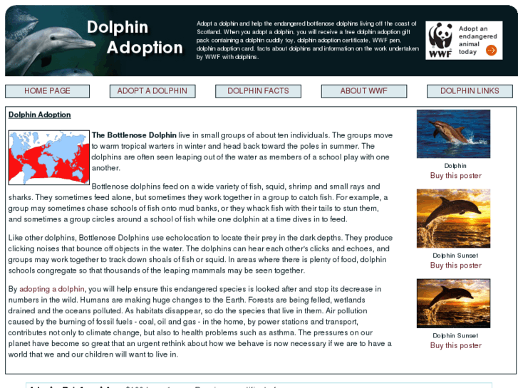 www.dolphinadoption.co.uk