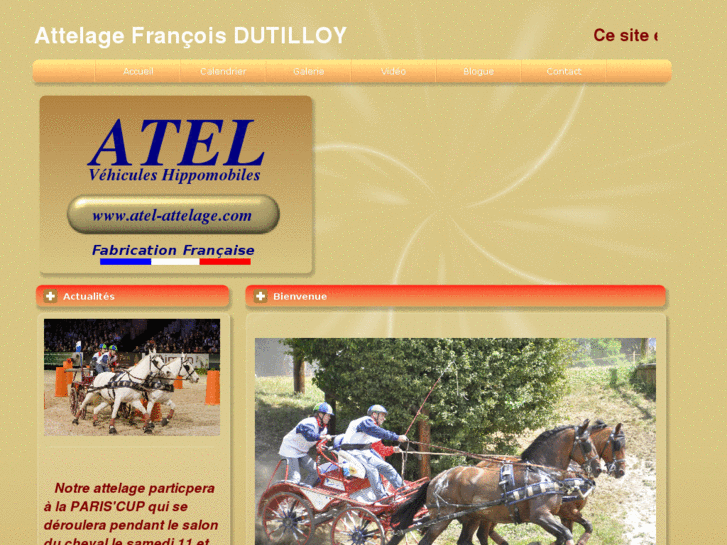 www.francois-dutilloy.com