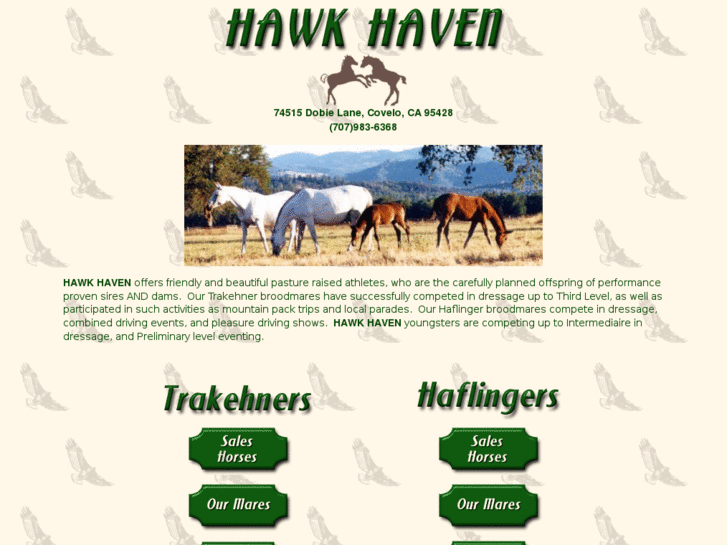 www.hawkhavenfarm.com