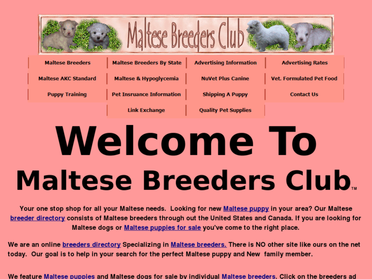 www.maltesebreedersclub.com