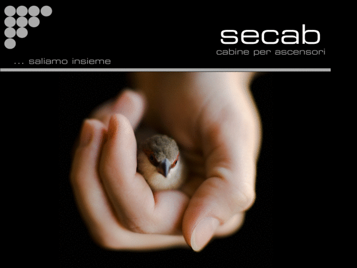 www.secabsrl.com