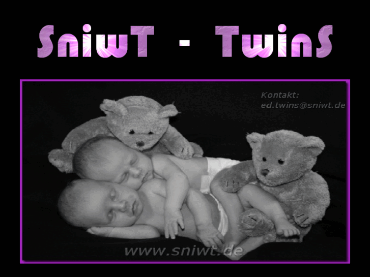 www.sniwt.net