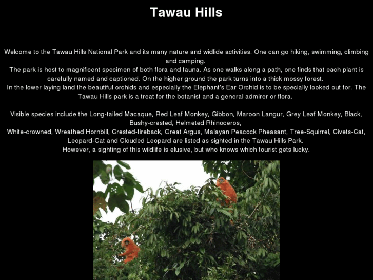 www.tawauhills.com