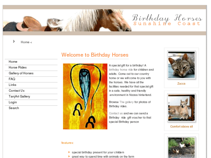 www.birthdayhorses.com