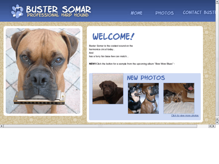 www.bustersomar.com