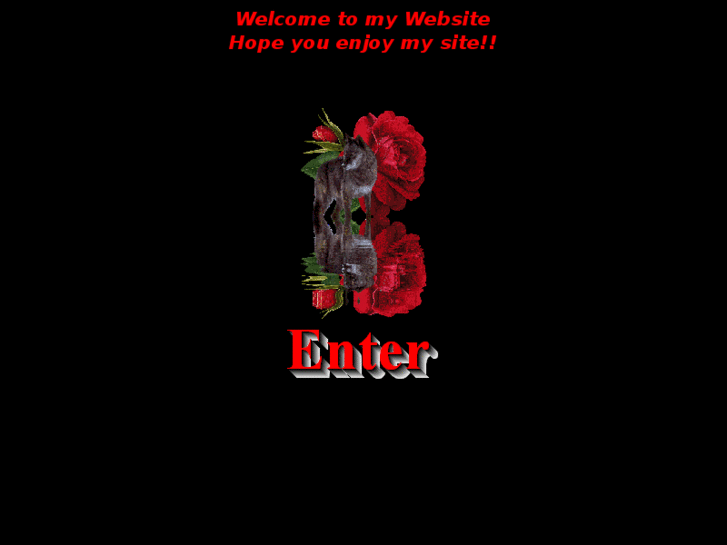 www.joshbloom.net
