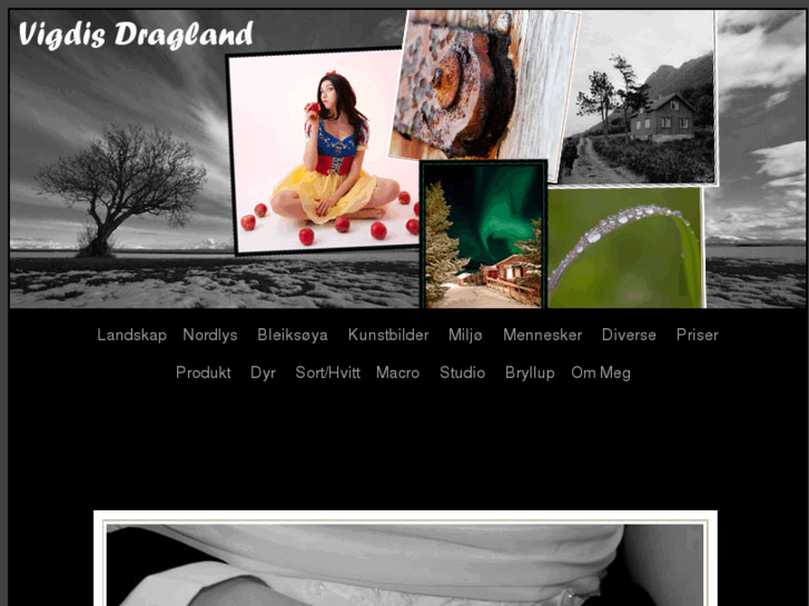 www.vigdisdragland.com