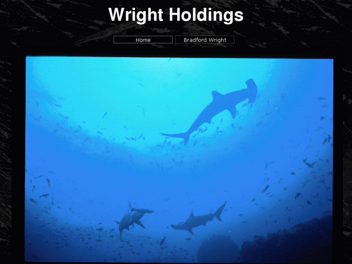 www.wrightholdings.com