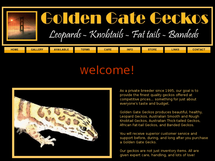 www.goldengategeckos.com