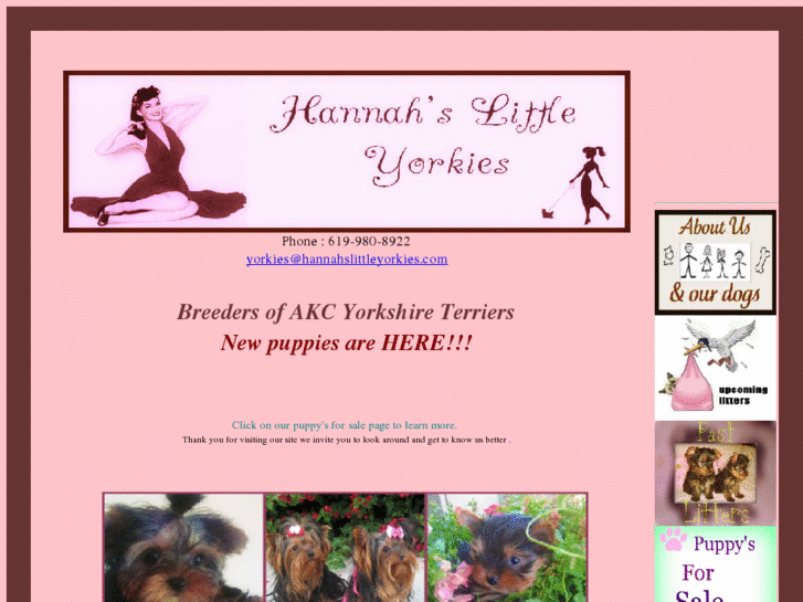 www.hannahslittleyorkies.com