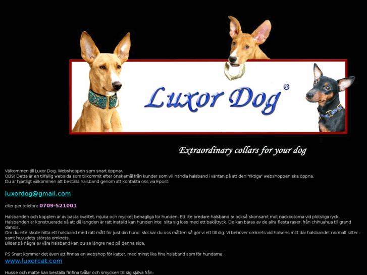 www.luxordog.com