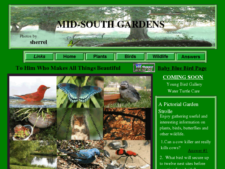 www.mid-southgardens.com