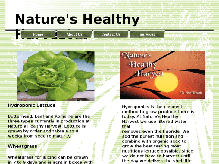 www.natureshealthyharvest.com