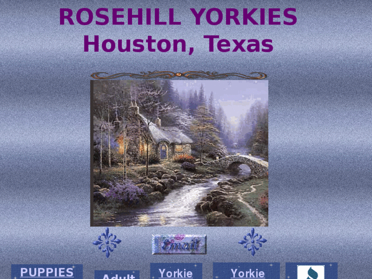 www.rosehillyorkies.com