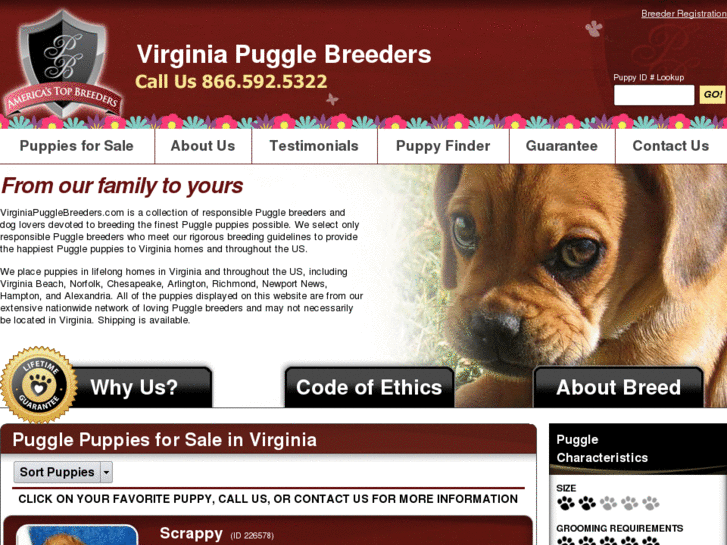 www.virginiapugglebreeders.com