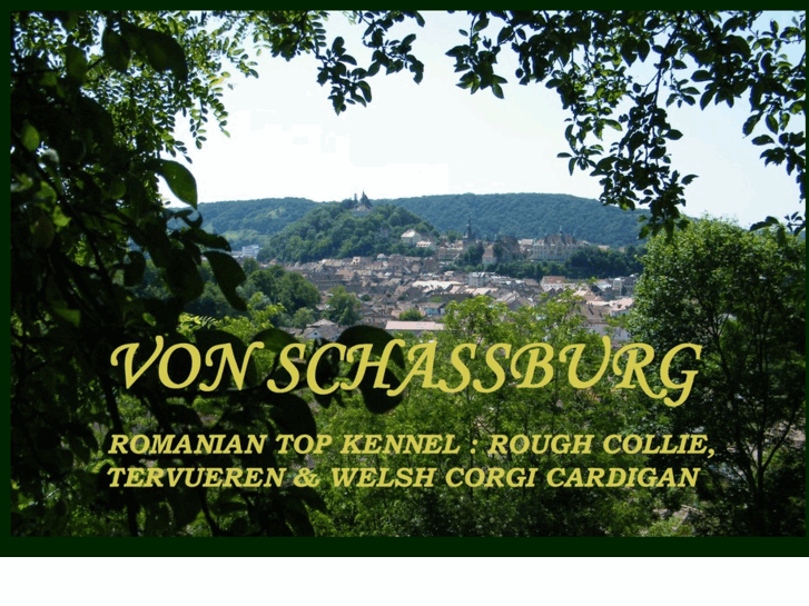 www.vonschassburg.com