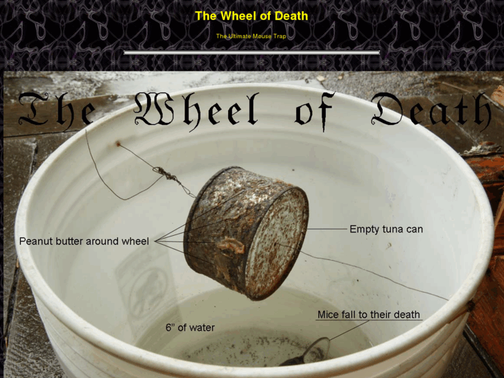 www.wheelofdeath.com