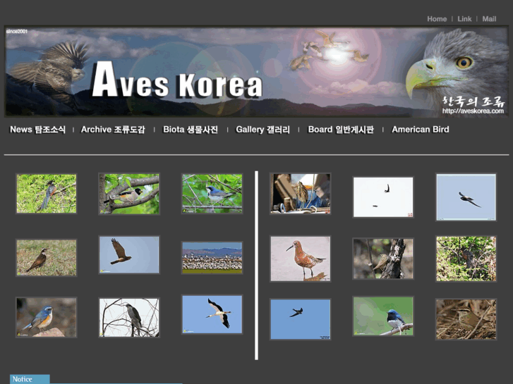 www.aveskorea.com