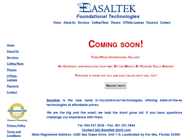 www.basaltek.com