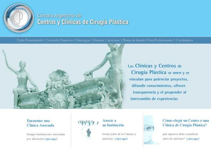 www.ccirugiaplastica.com.ar