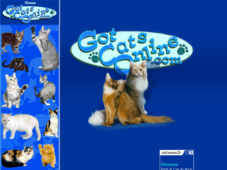 www.gotcatsonline.com