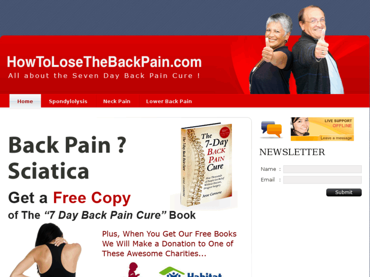 www.howtolosethebackpain.com