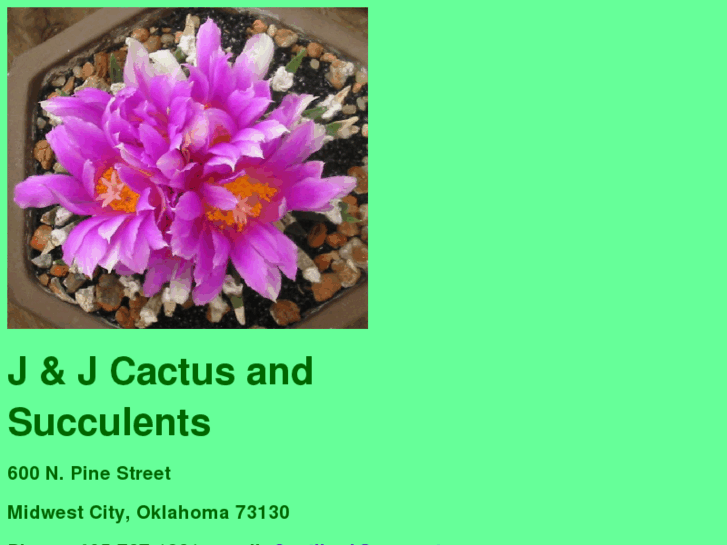 www.jjcactus-succulents.net