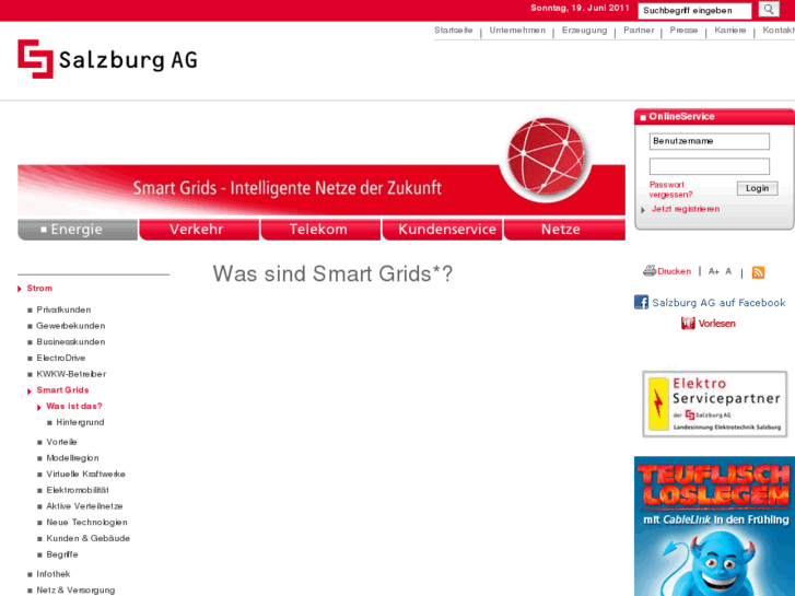 www.smartgrids-salzburg.com