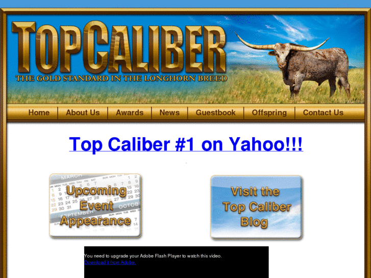 www.top-caliber.com