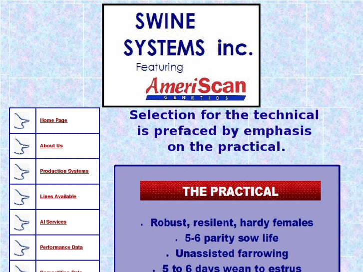 www.ameriscanswinesystems.com