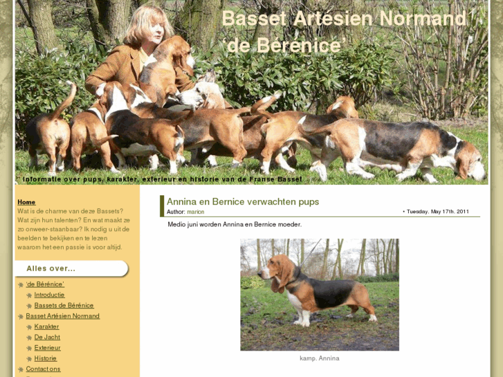 www.bassetartesiennormand.info