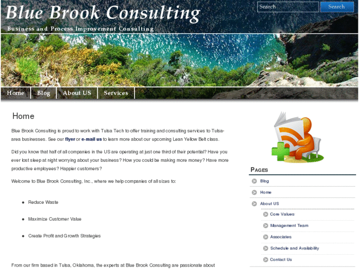 www.bluebrookconsulting.com