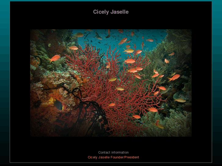 www.cicelyjaselle.com