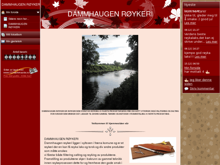 www.damhaugenrokeri.com