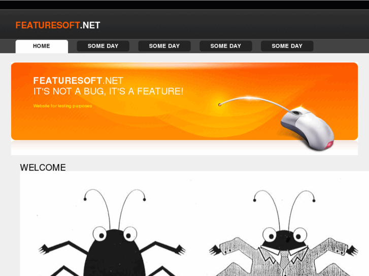 www.featuresoft.net