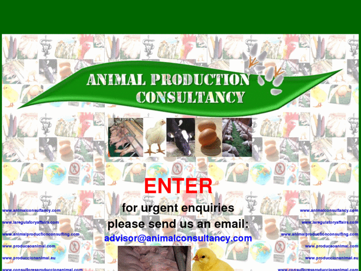 www.livestockconsultancy.com