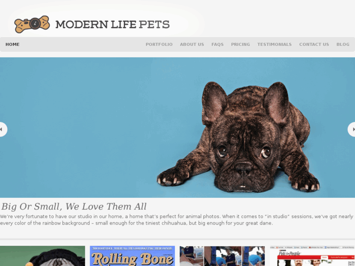 www.modernlifepets.com