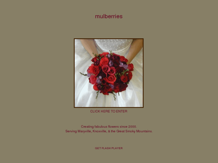 www.mulberriesdesign.com