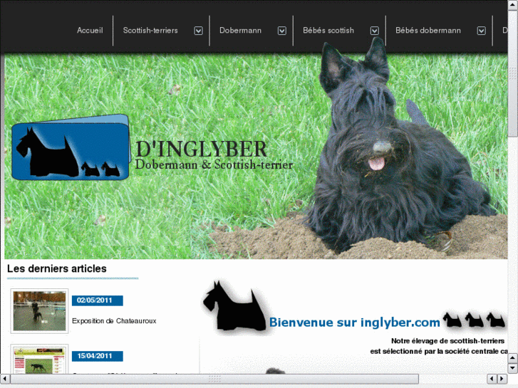 www.scottish-terrier.net