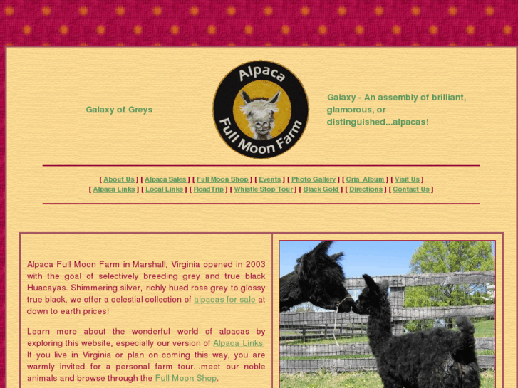 www.alpacafullmoon.com